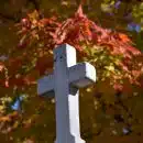 a white cross sitting in front of a tree