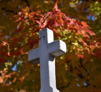 a white cross sitting in front of a tree