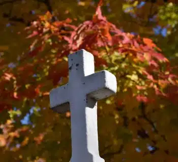 a white cross sitting in front of a tree